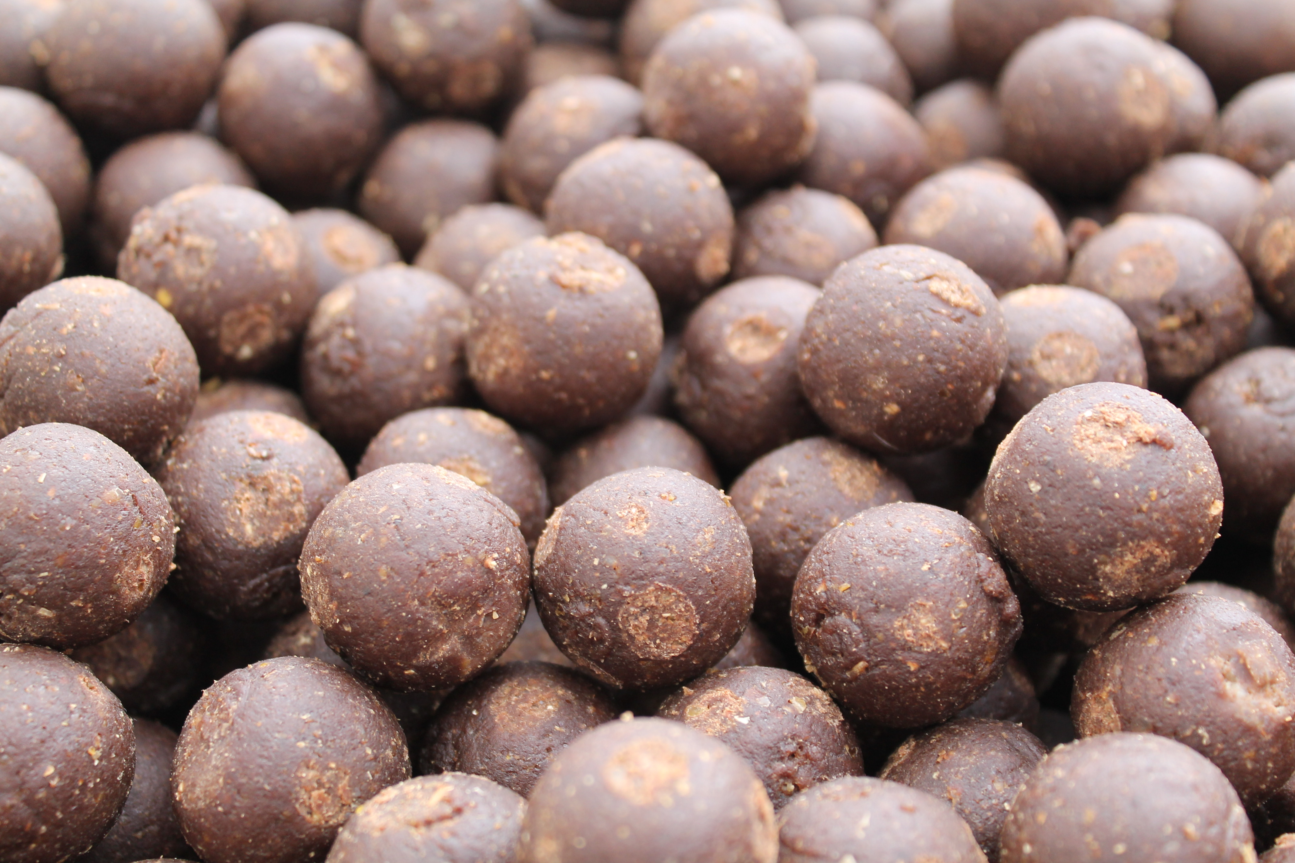 Simple Dish Range Boilies